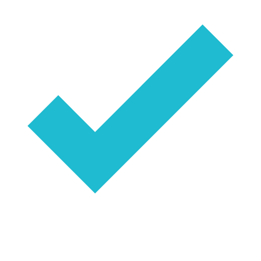 check icon2